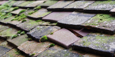 St Agnes roof repair costs
